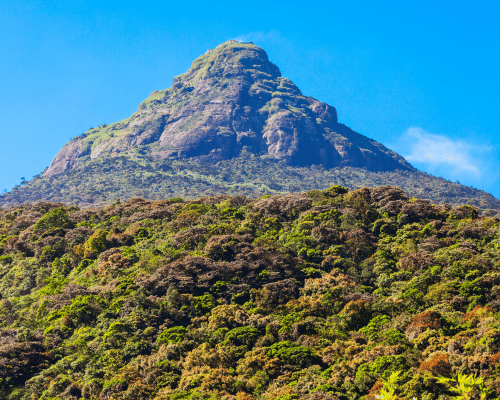 Adam's Peak