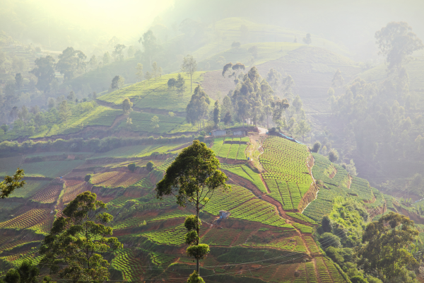 _Breathtaking Landscapes- Sri Lanka (2)