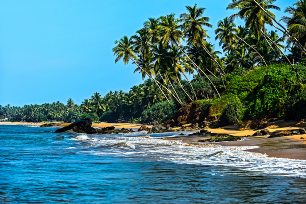 Coastal Regions Sri Lanka