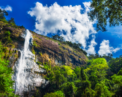 Nature sri lanka