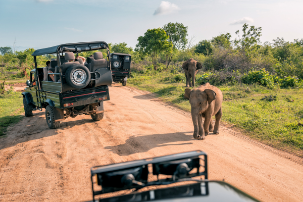 _Wildlife Safaris, - Sri Lanka